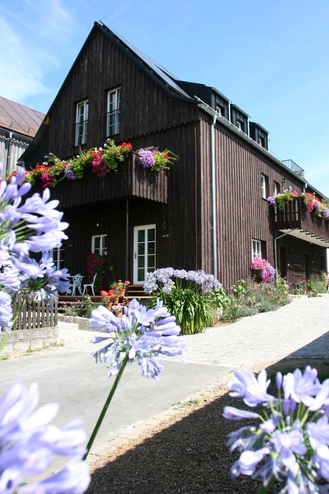 Houten gevel van een boutique hotel met bloembakken en agapanthus in de tuin, door cestsjoukje